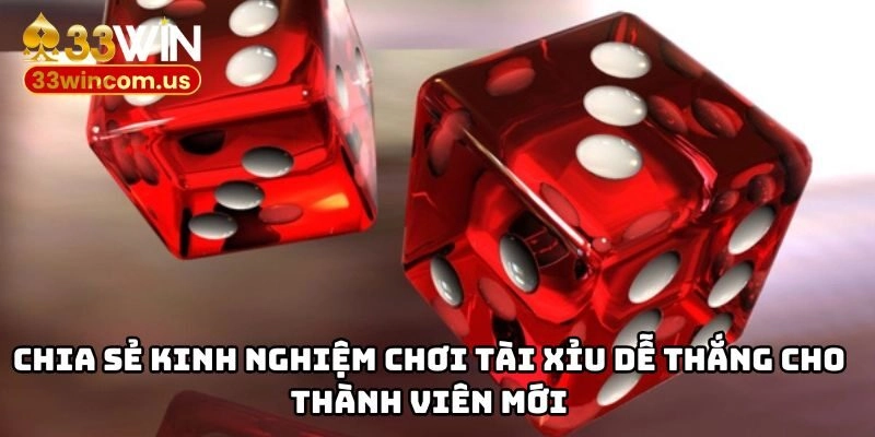 Chia sẻ kinh nghiệm chơi tài xỉu dễ thắng cho thành viên mới